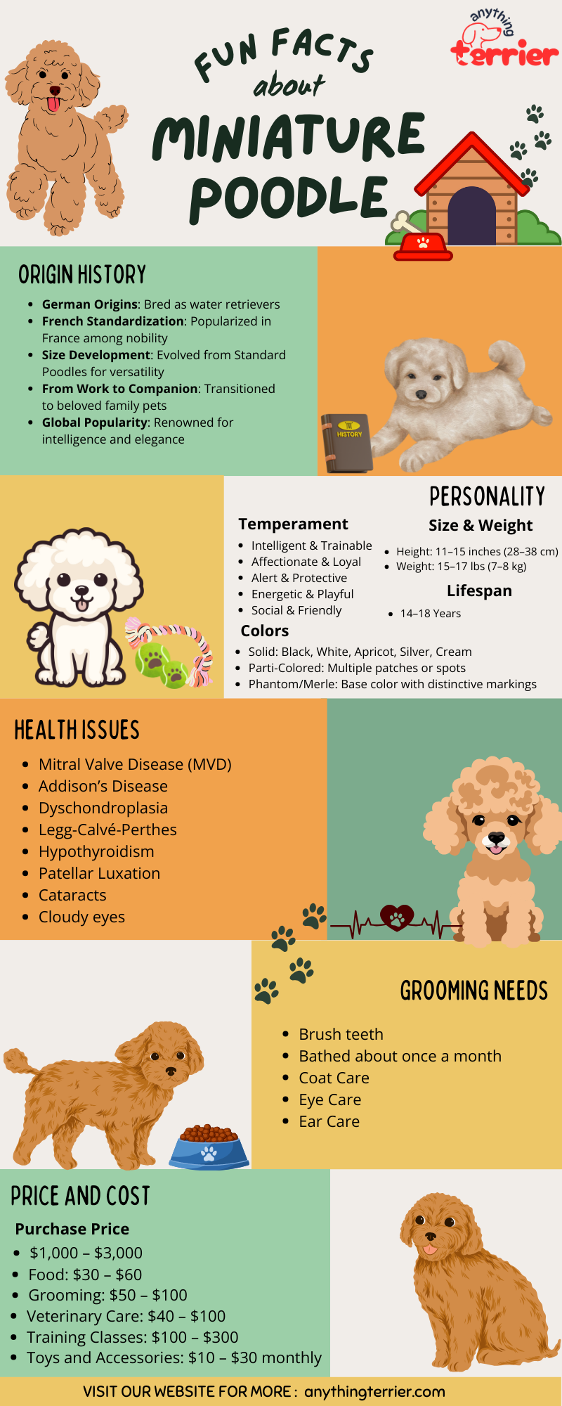 Miniature Poodle Infographics