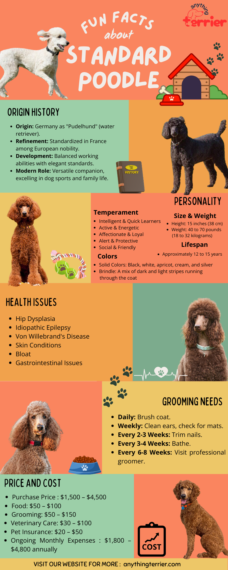 Standard Poodle Infographics