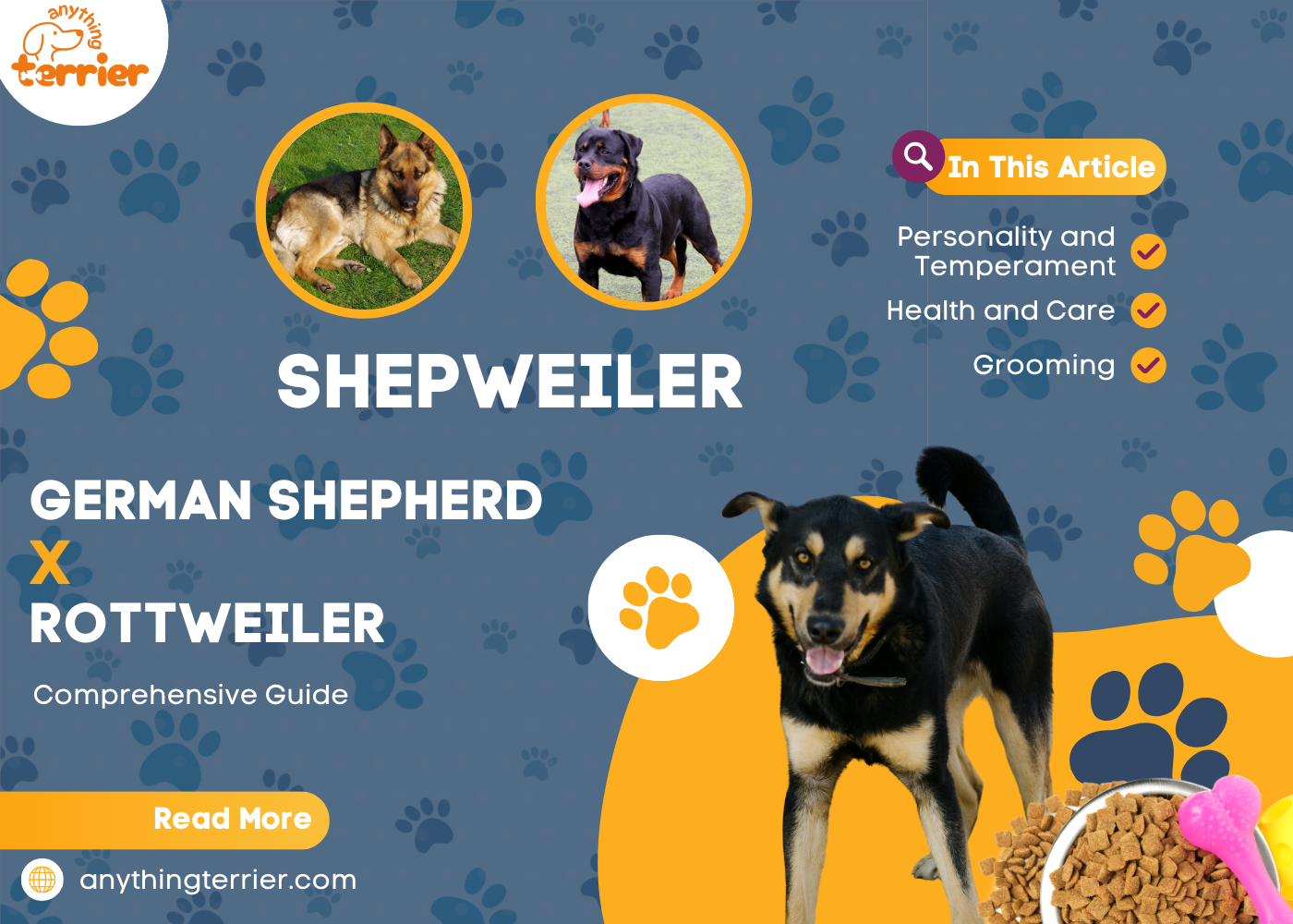 Caring for German Shepherd Rottweiler Mix