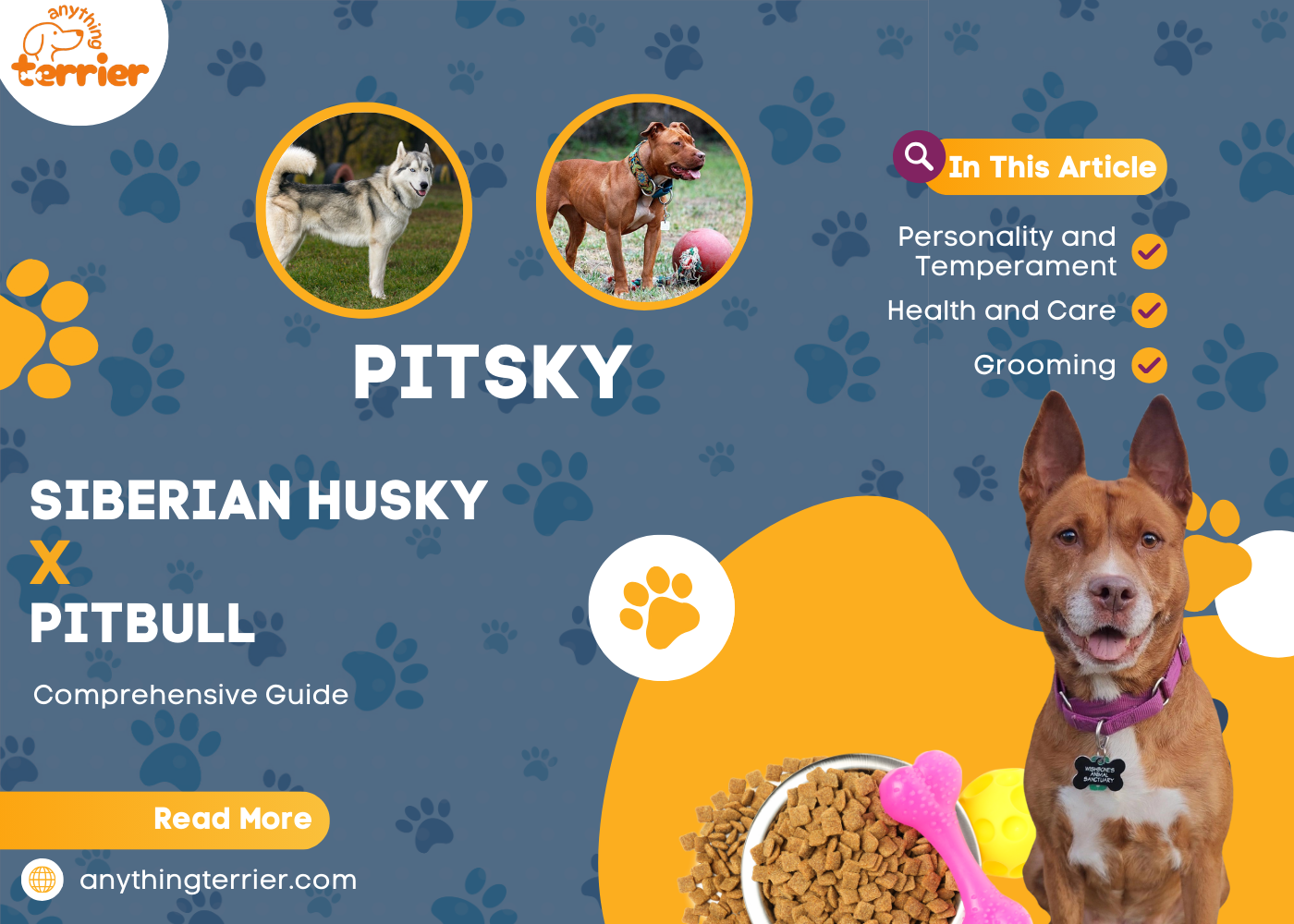 Husky Pitbull Mix Dog Breed Complete Guide