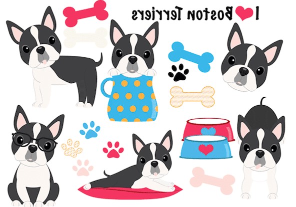 Boston Terrier Clipart