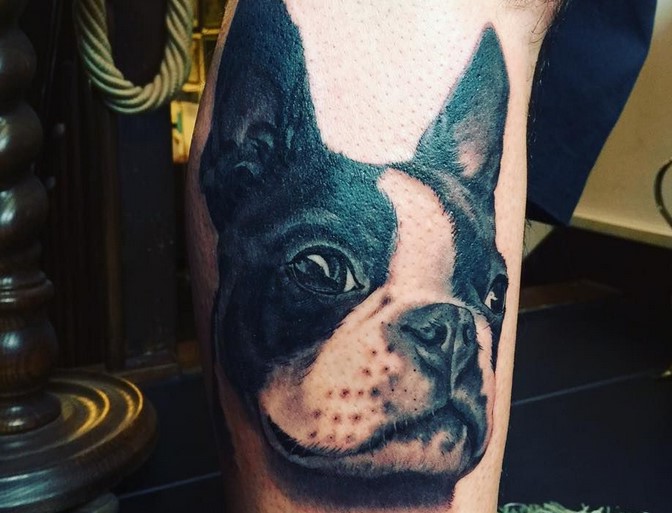 Boston Terrier Tattoo