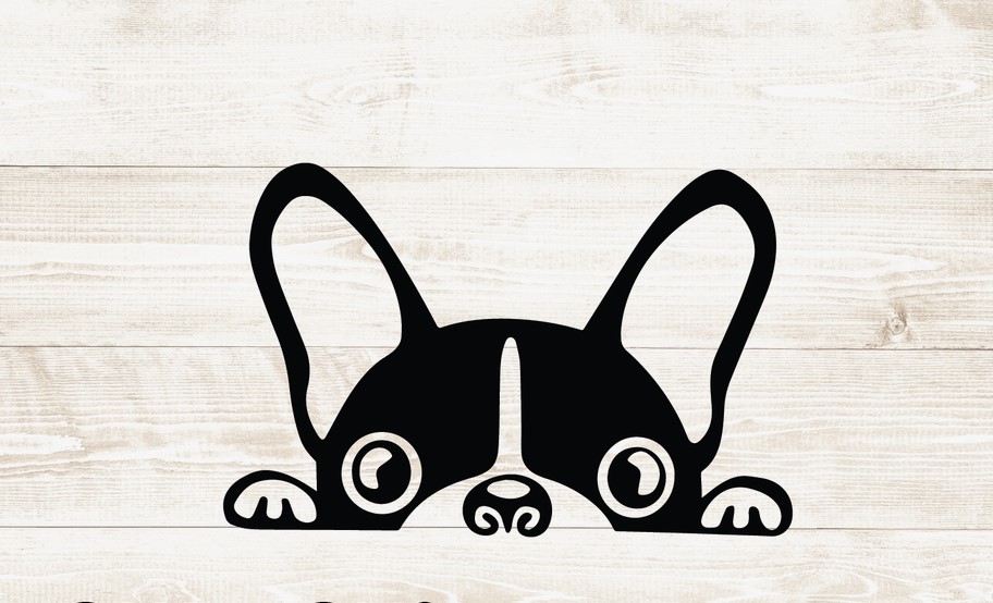 Boston Terrier Svg