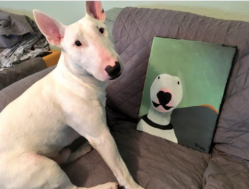 Bull Terrier Walter