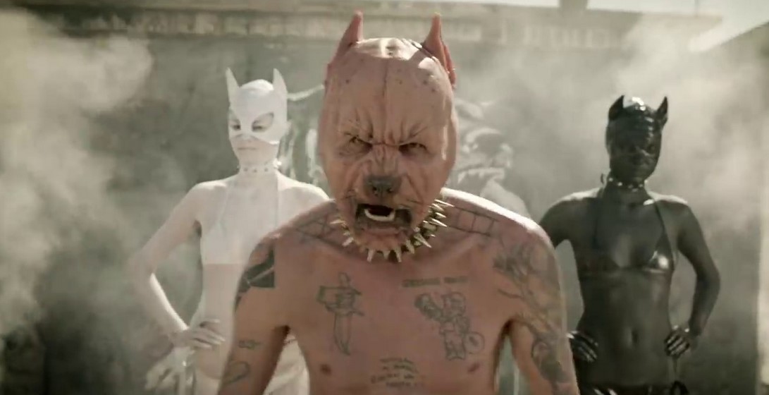 Die Antwoord Pitbull Terrier