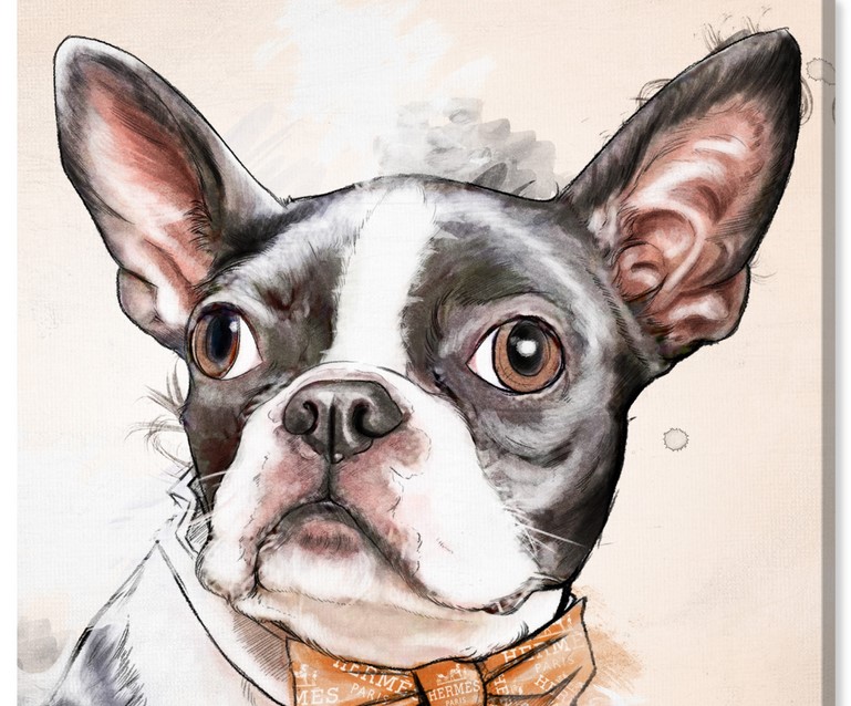 Boston Terrier Art