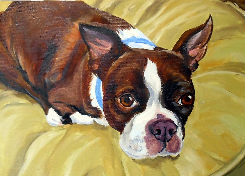 Boston Terrier Painting