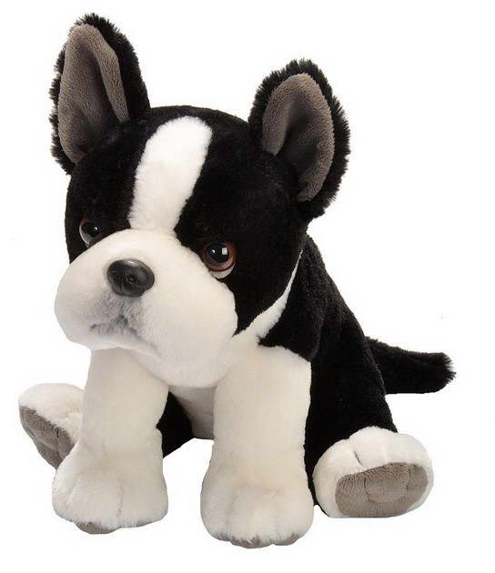 Toy Boston Terrier