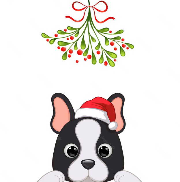 Boston Terrier Christmas Cards