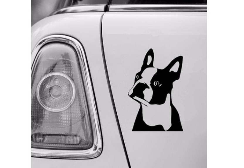 Boston Terrier Decal