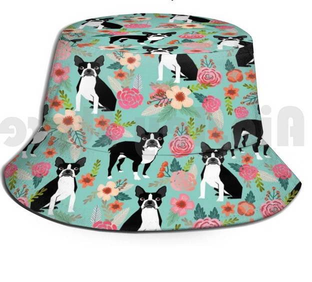 Boston Terrier Hat