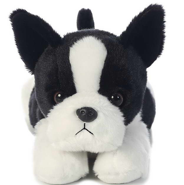 Boston Terrier Items