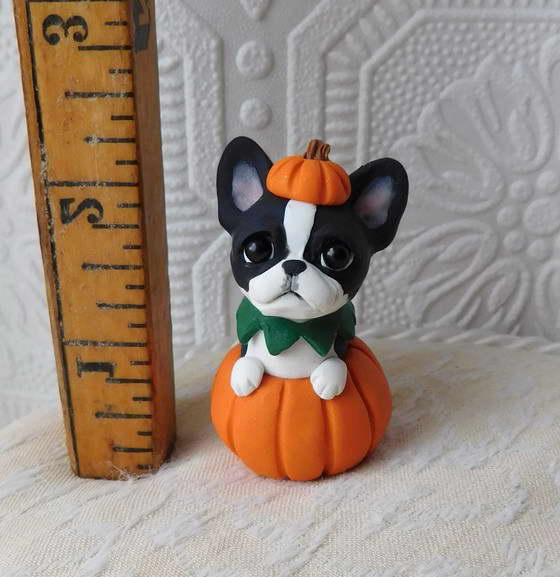 Boston Terrier Pumpkin