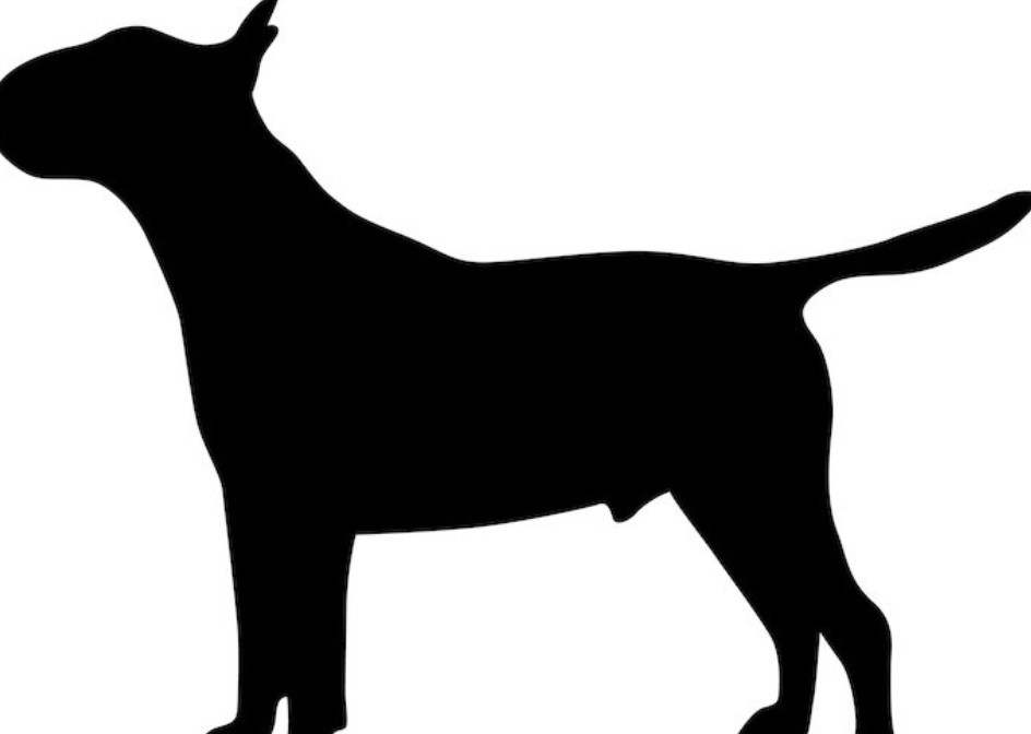 Bull Terrier Silhouette