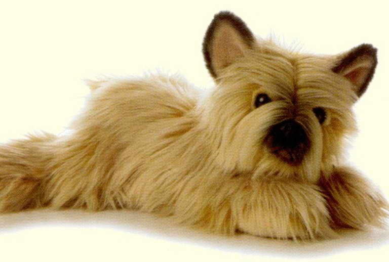 Cairn Terrier Stuffed Animal