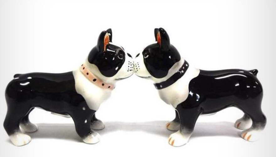 Boston Terrier Accessories