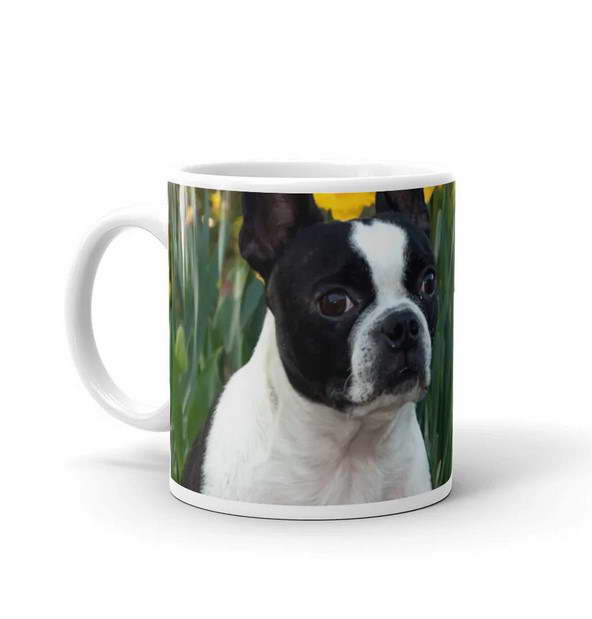 Boston Terrier Coffee Mug