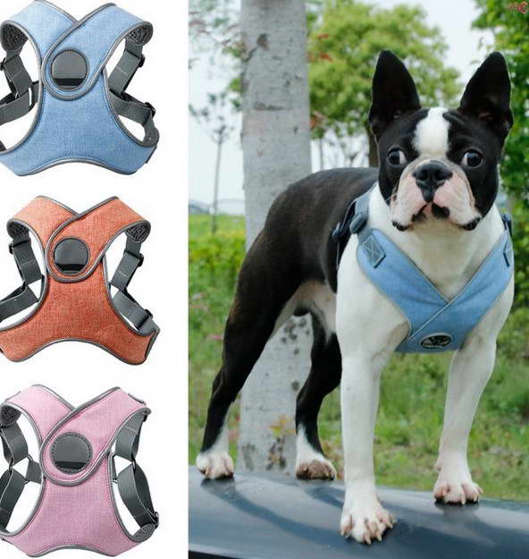 Boston Terrier Collar