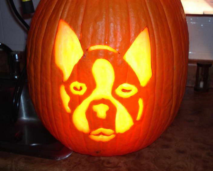 Boston Terrier Pumpkin Stencil