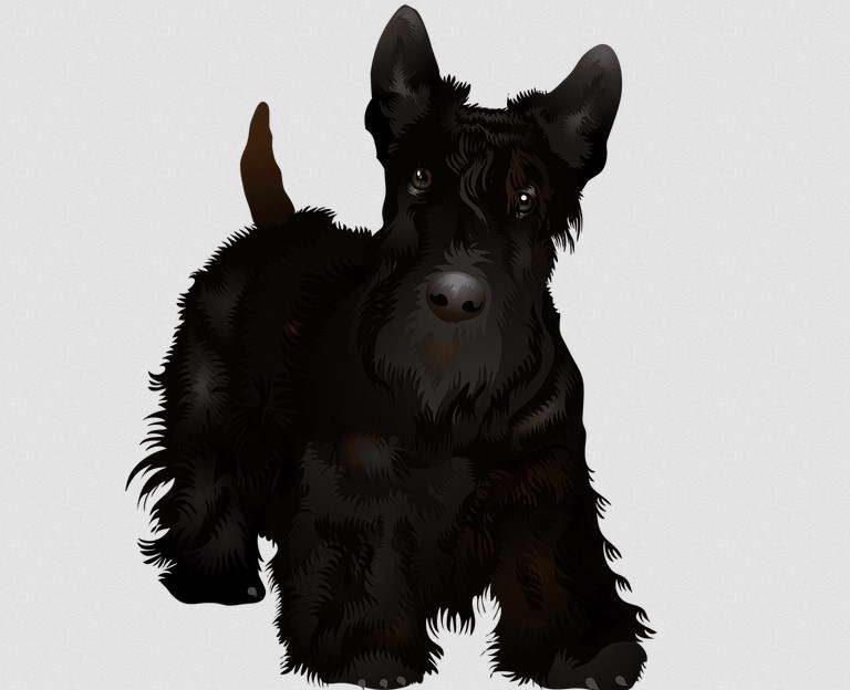 Scottish Terrier Gifts