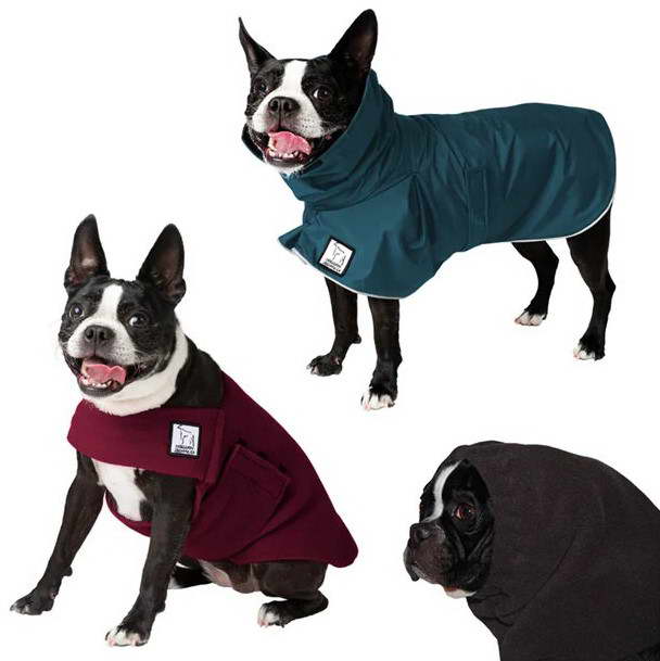 Boston Terrier Jacket