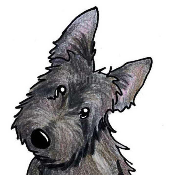 Scottish Terrier Cartoon