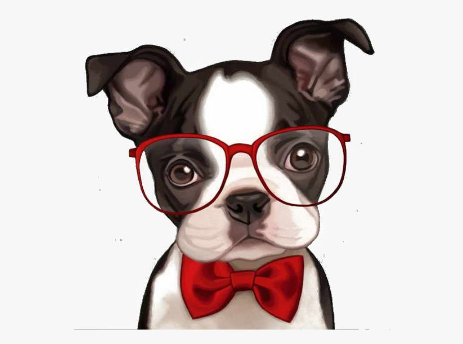 Boston Terrier Cartoon Image