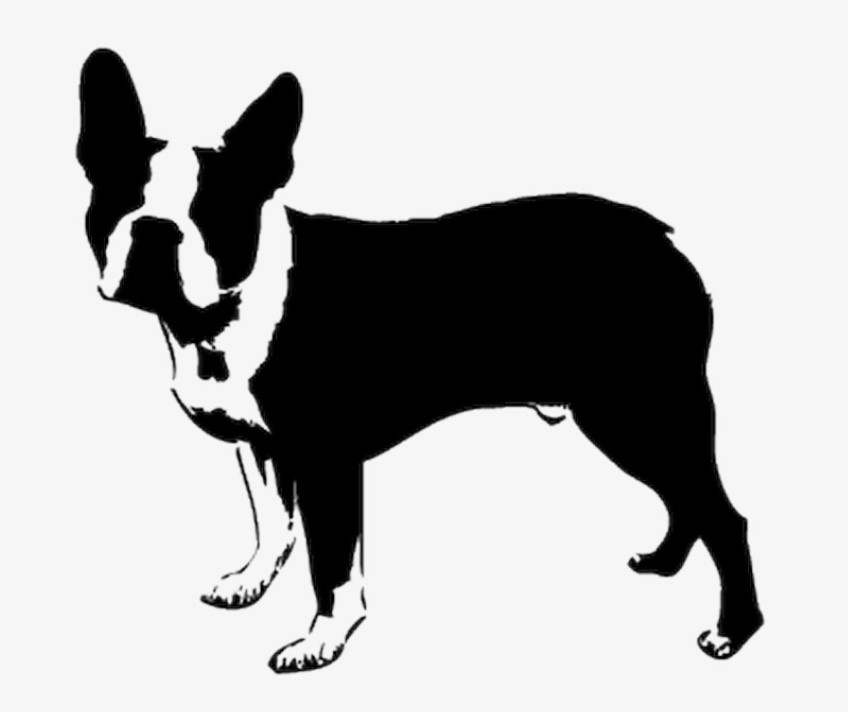 Boston Terrier Stencil