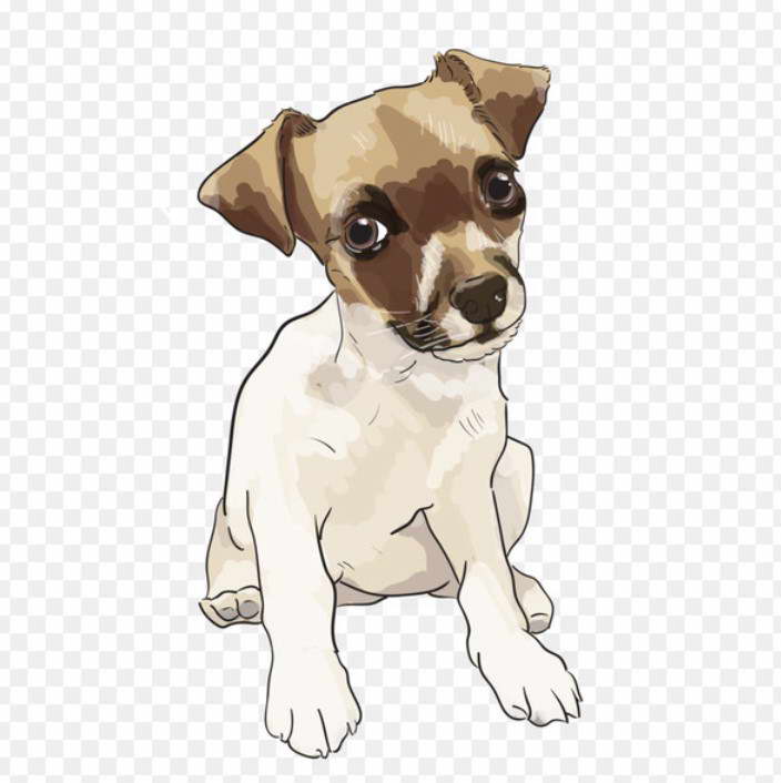 Rat Terrier Clipart