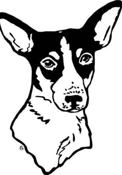 Rat Terrier Silhouette