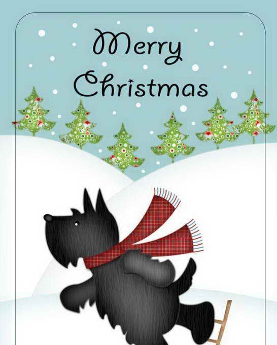 Scottish Terrier Christmas Cards