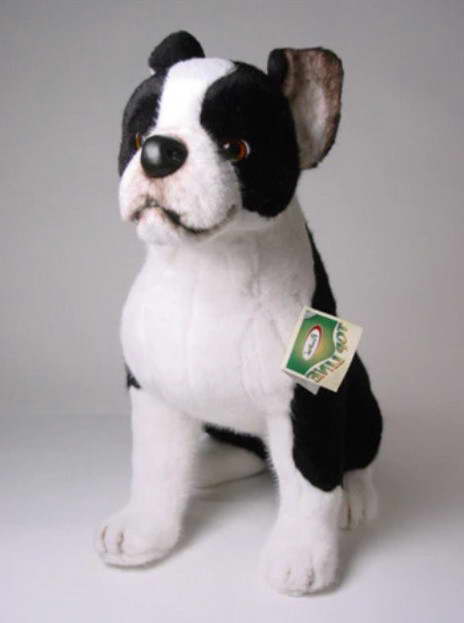 Stuffed Boston Terrier