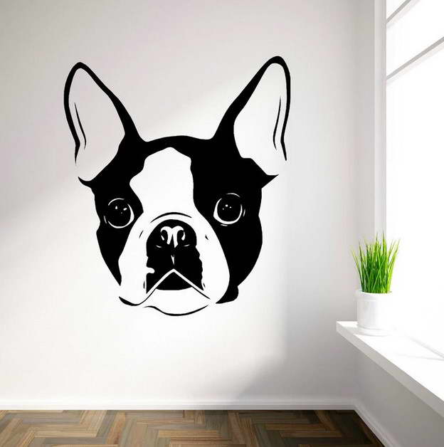 Boston Terrier Framed Art