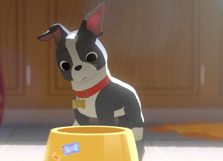 Disney Boston Terrier Short