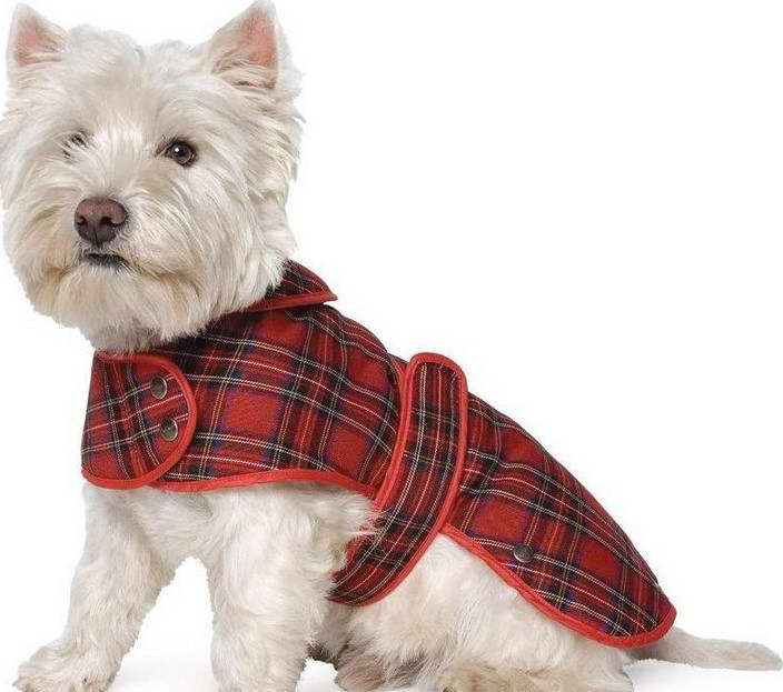 dog coats for west highland terrier