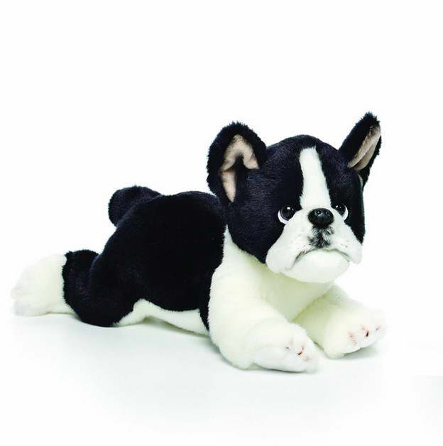 Kohls Boston Terrier