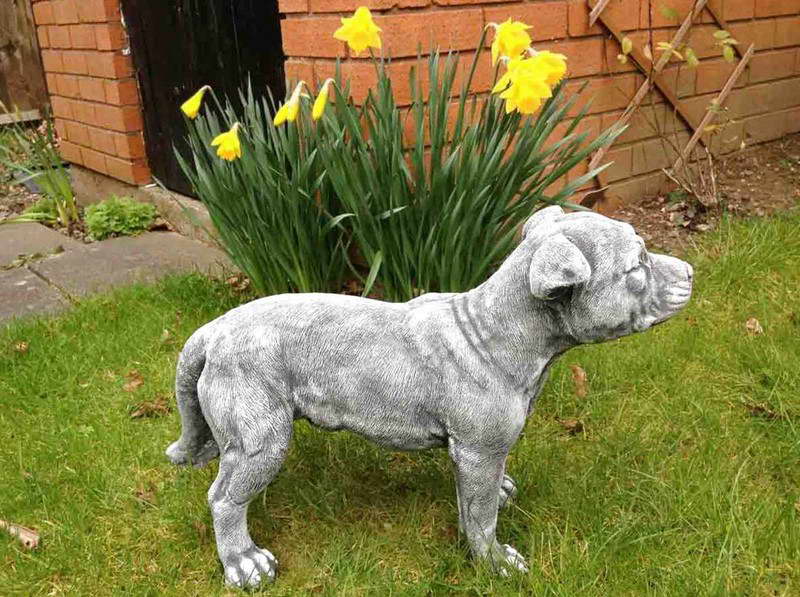 Leonardo Staffordshire Bull Terrier