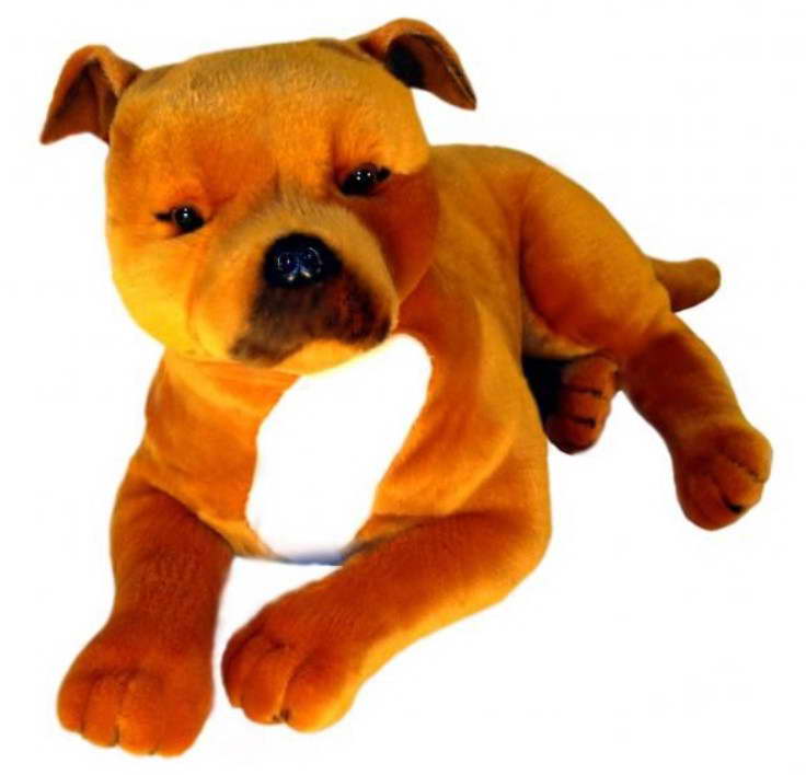 Teddy Bear Staffordshire Bull Terrier