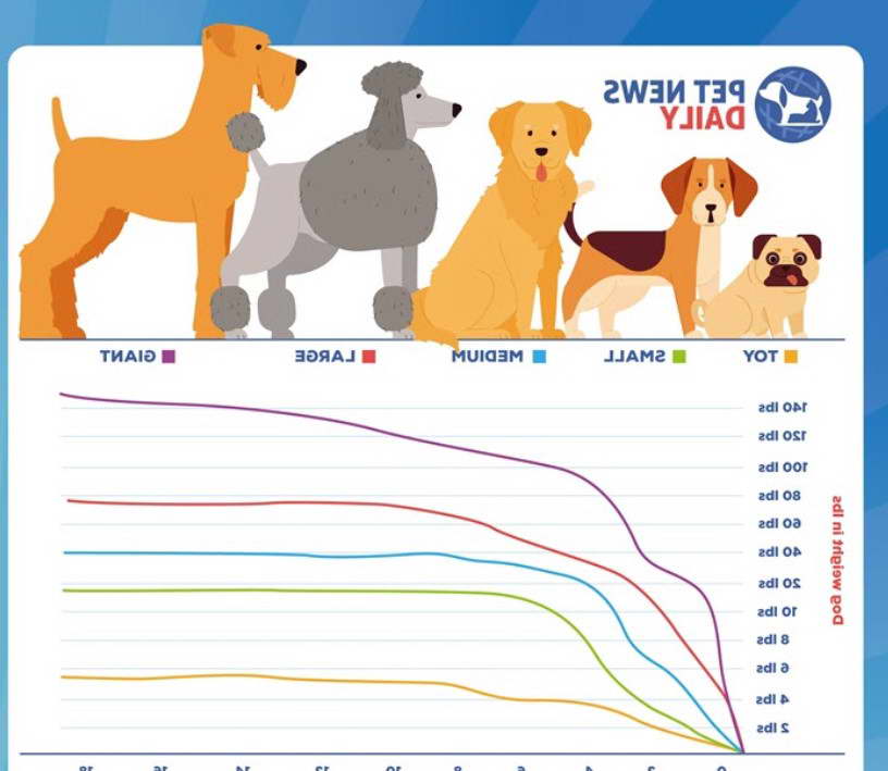 Terrier Growth Chart