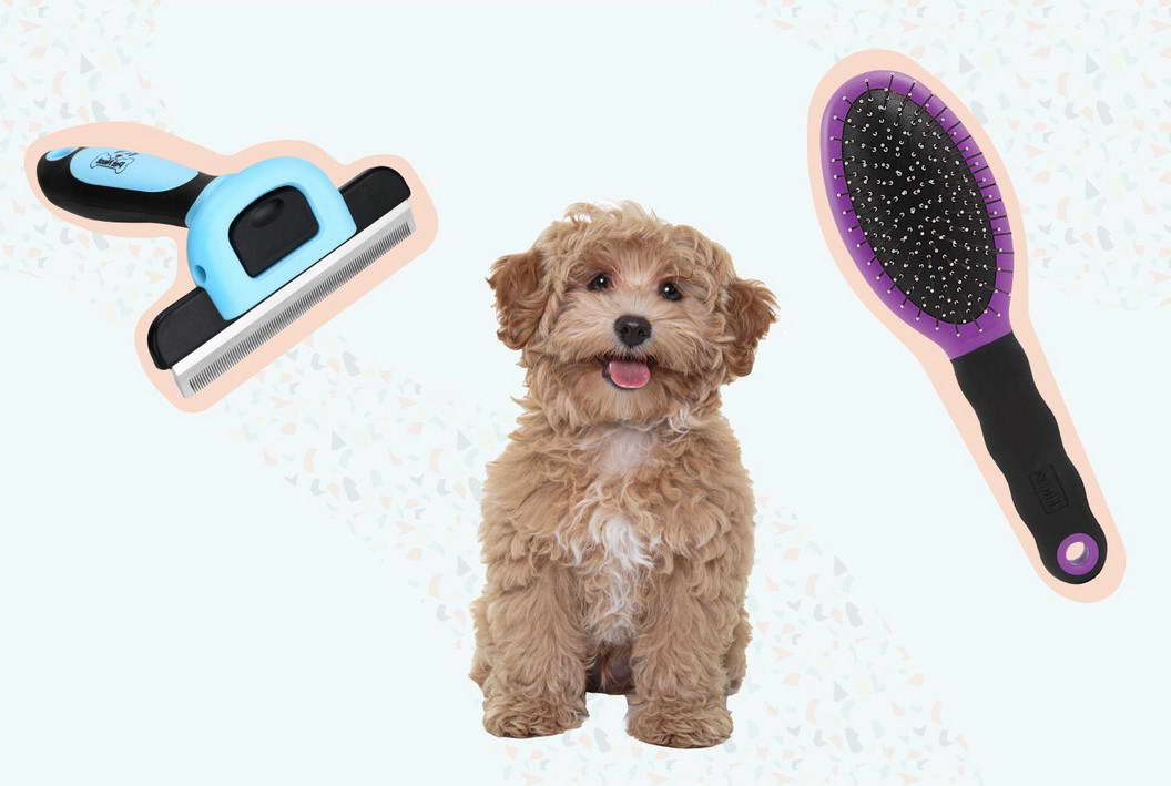 Best Brush For Lakeland Terrier