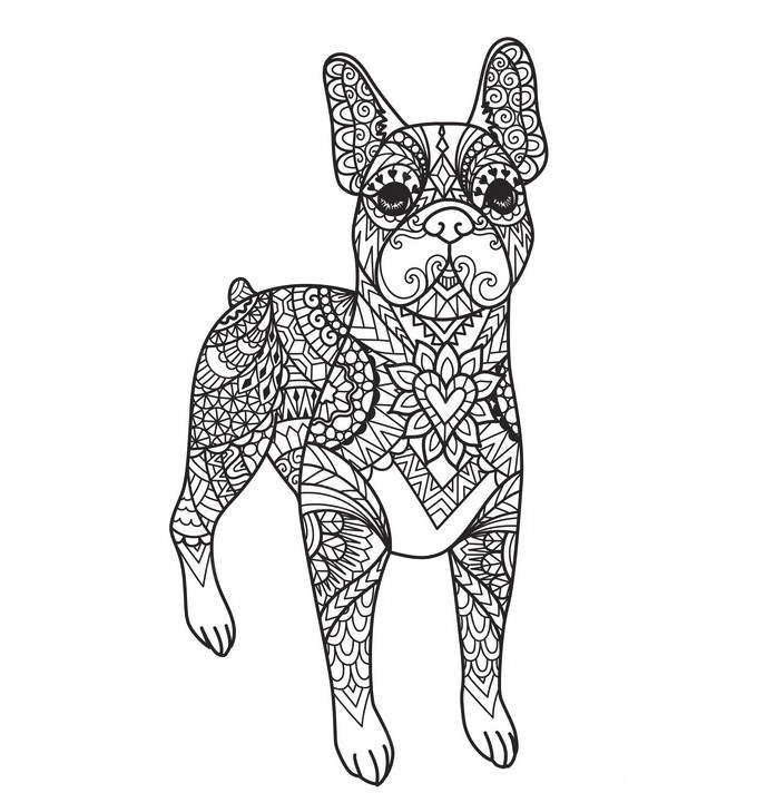 Boston Terrier Coloring Sheets