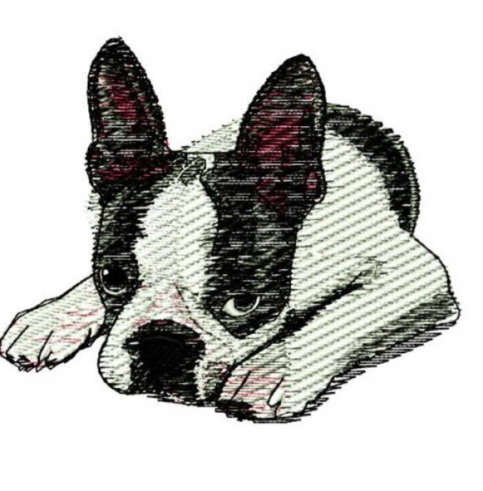 Boston Terrier Embroidery Pattern