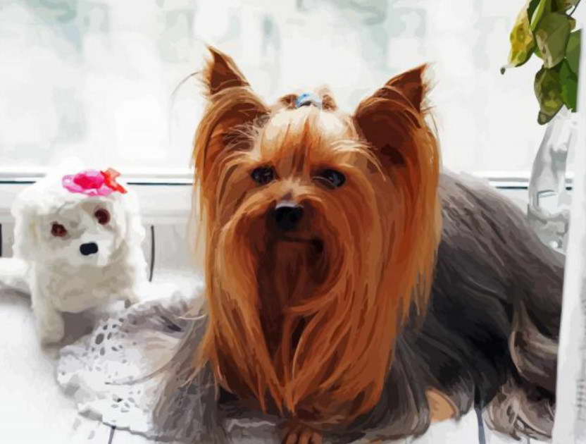 Yorkshire Terrier Doll