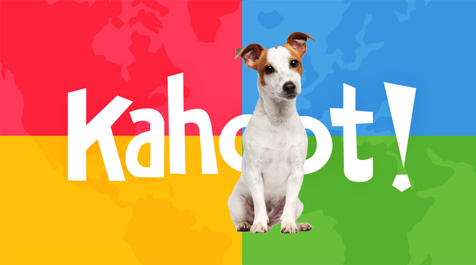 Kahoot Log In Jack Russell Terrier