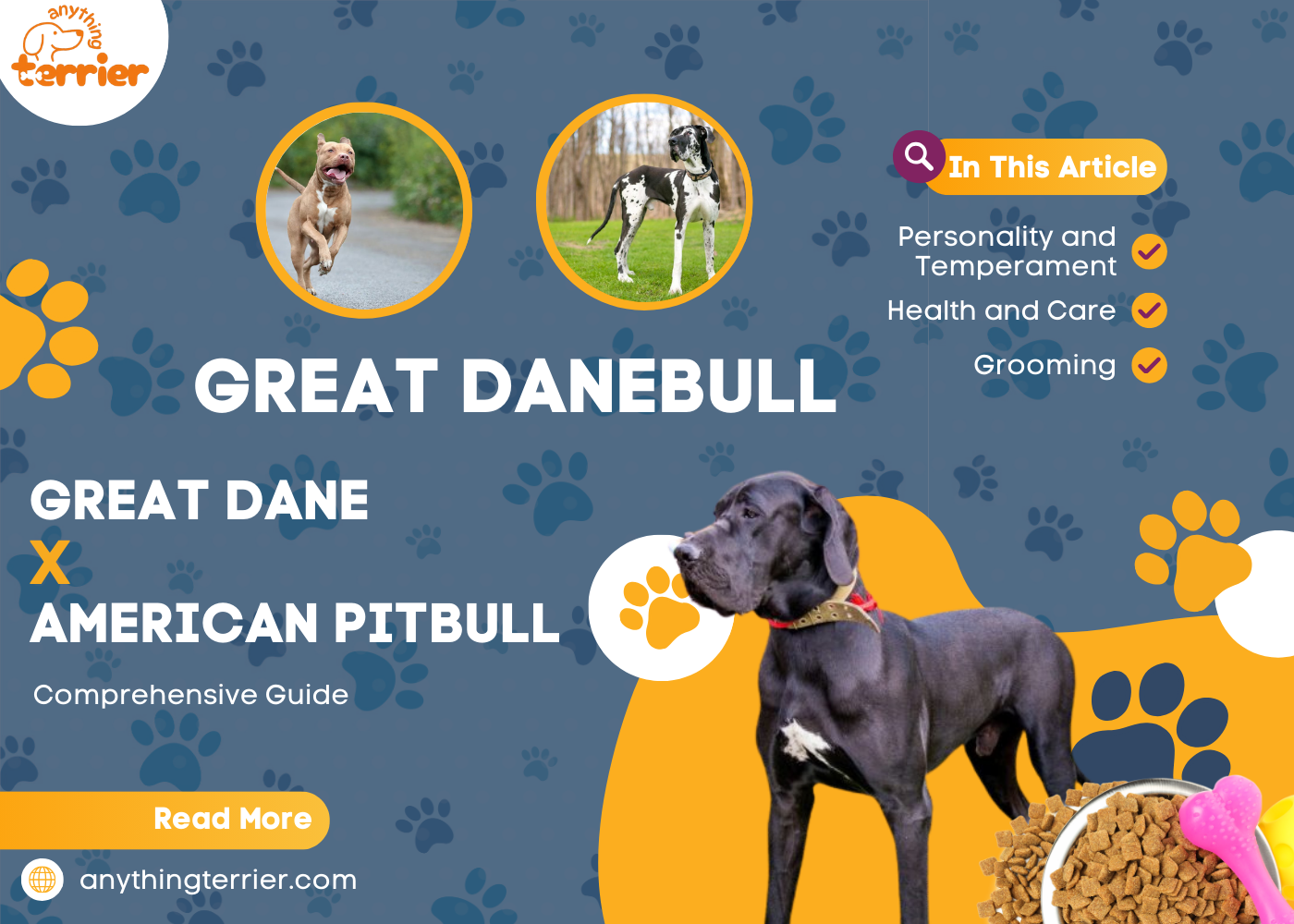 Great Dane Pitbull Mix (Great Danebull)