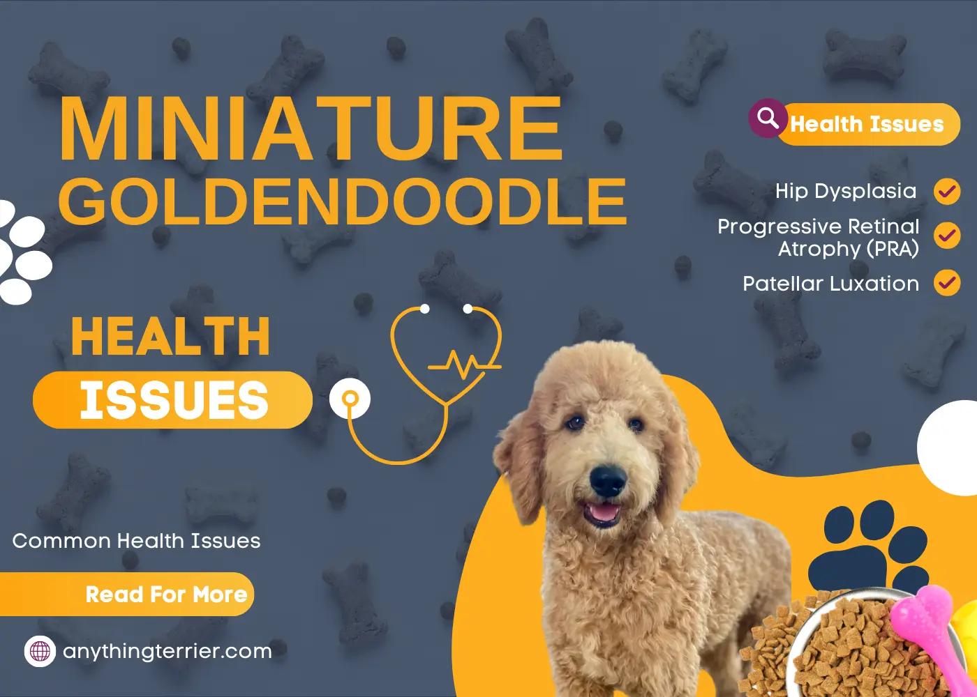 Mini Goldendoodle Health Issues